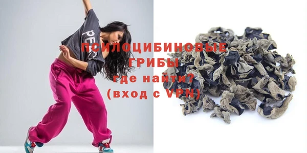 молекула духа Арсеньев