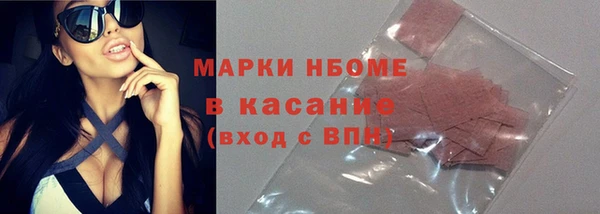 молекула духа Арсеньев