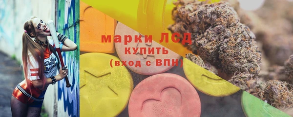 молекула духа Арсеньев